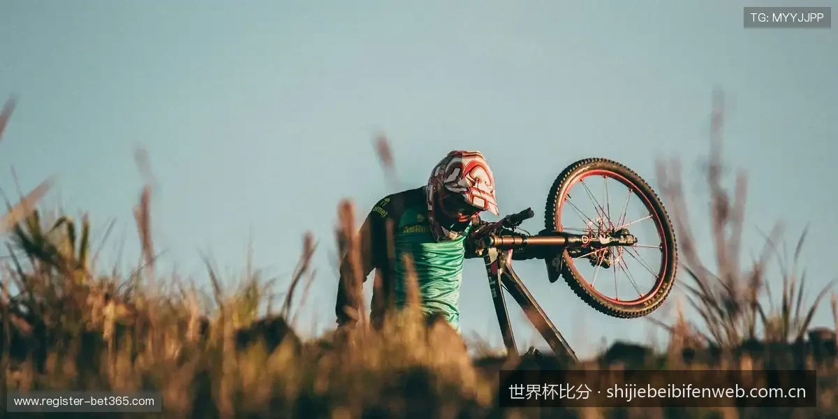 2026世界杯小组赛积分榜与比分走势完全解析